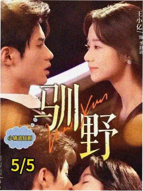 术语图鉴盾墙阵词条配图，前排盾牌交叠的阵列俯视示意